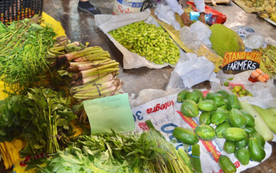 Bagsakan Kabataan, Upscaling Youth-Led Agroecological Fairs